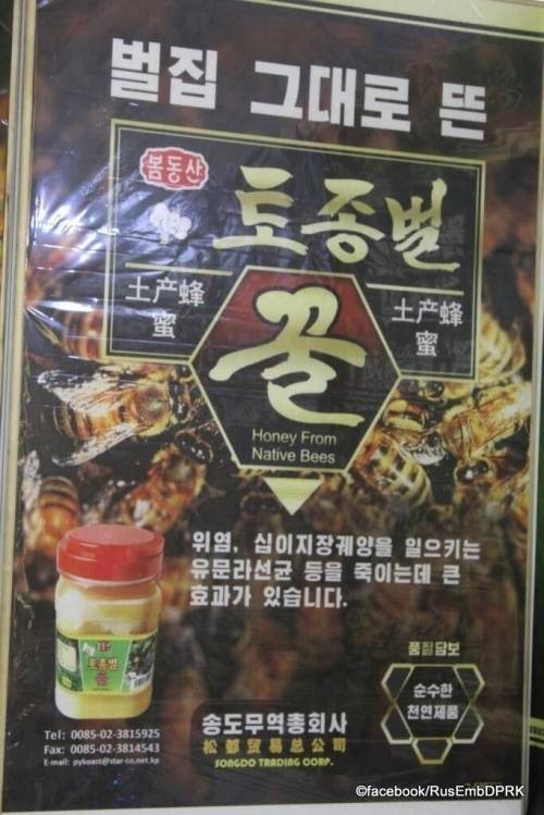 [스압] 북한의 최근 상업광고 전단지들...jpg