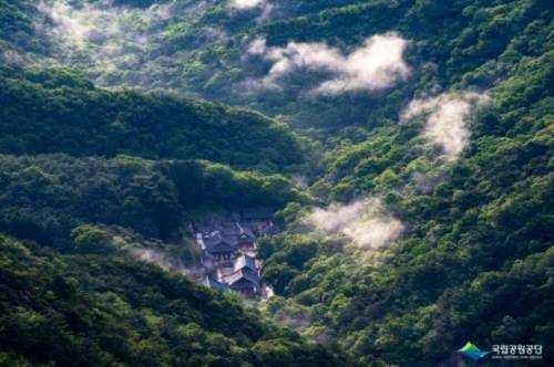 [스압] 2020 제19회 국립공원 사진공모전 수상작