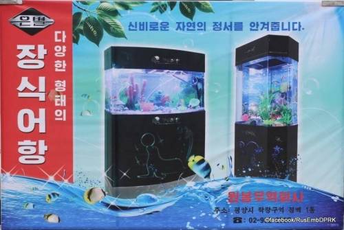 [스압] 북한의 최근 상업광고 전단지들...jpg