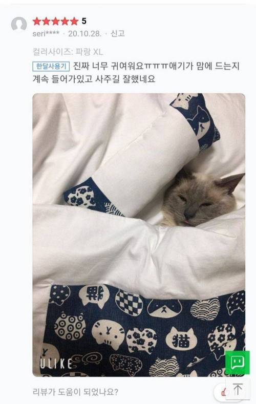 고양이 이불 구매후기.jpg