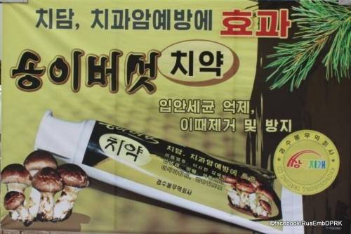 [스압] 북한의 최근 상업광고 전단지들...jpg