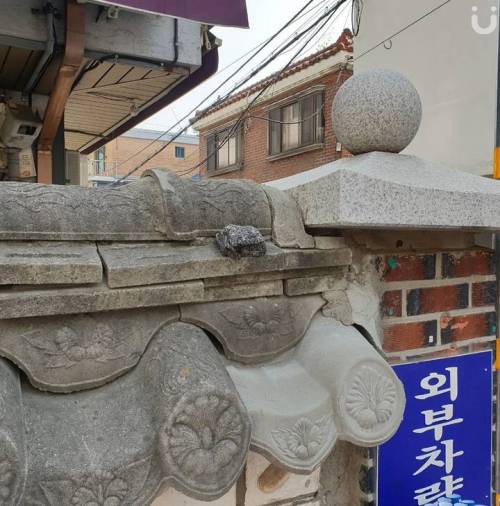 [스압] 쓸데없는 선물' 추천 5 jpg.