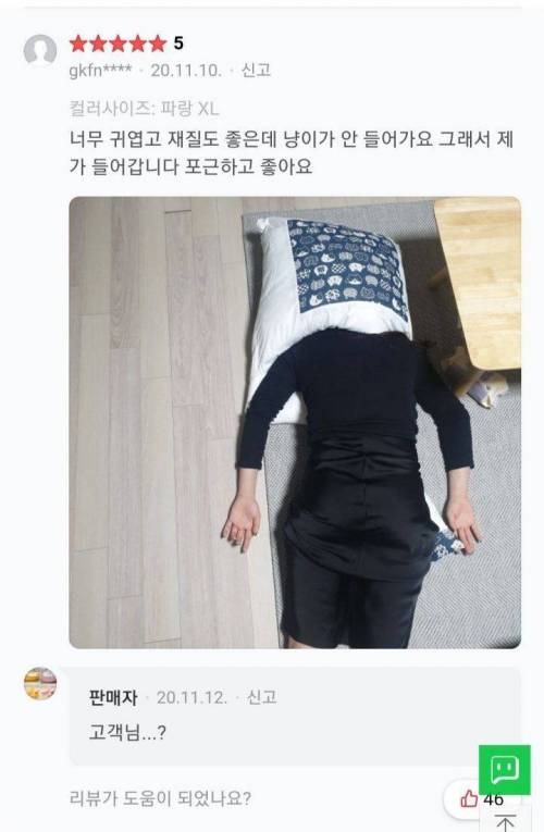 고양이 이불 구매후기.jpg