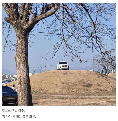 주차.jpg