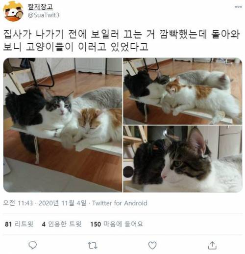 집사가 보일러 끄는걸 잊음.