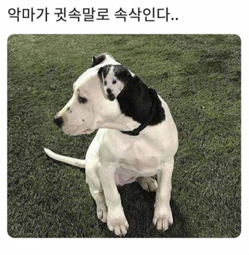 악마가 귓속말로 속삭인다