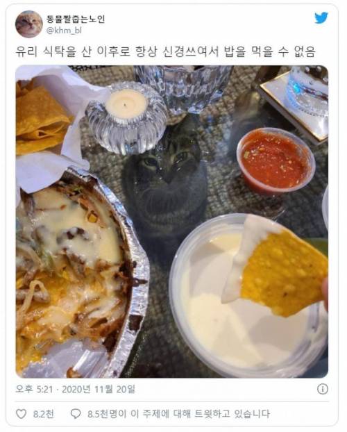 유리식탁을 산 집사.jpg