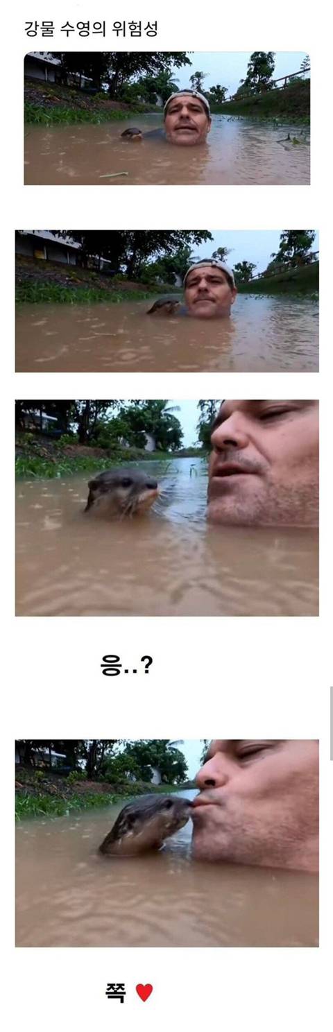 강물수영이 위험한 이유.jpg