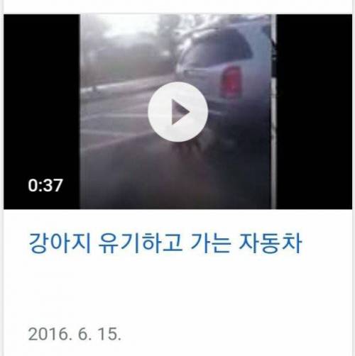 [스압] 천안 고속도로 유기푸들 오래된 후기.jpg