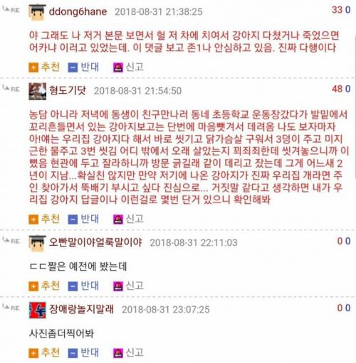 [스압] 천안 고속도로 유기푸들 오래된 후기.jpg