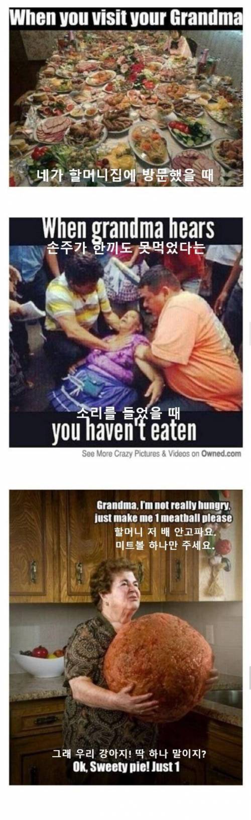 동서양을 아우르는 할머니밈.jpg