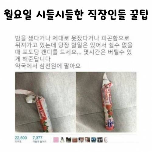 20대 30대  직장인 팁.jpg