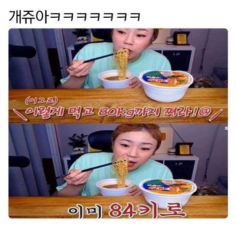 악플인데 타격 제로.jpg