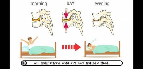 아침에 허리가 약해진듯한 느낌이 오는 이유.jpg