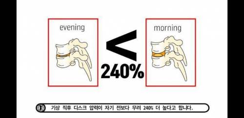 아침에 허리가 약해진듯한 느낌이 오는 이유.jpg