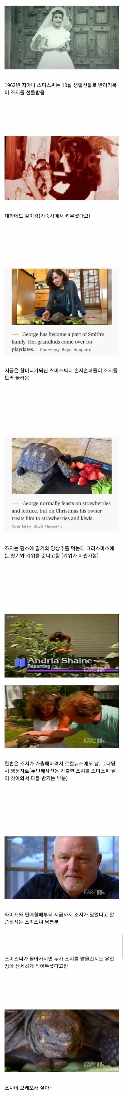 58년간 같이한 반려동물 이야기.jpg