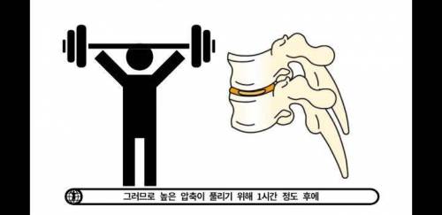 아침에 허리가 약해진듯한 느낌이 오는 이유.jpg