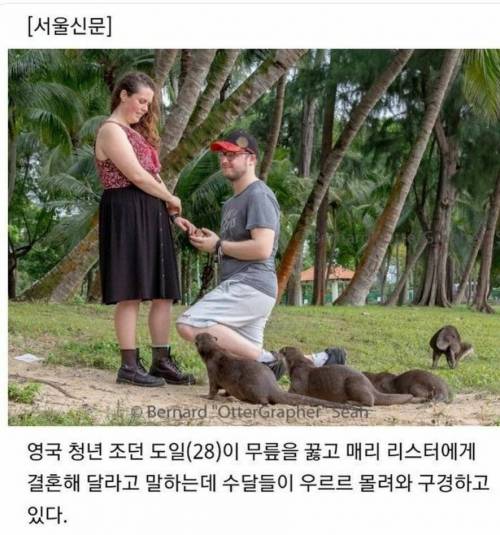 ??? : 야야 저기 프로포즈한다.jpg