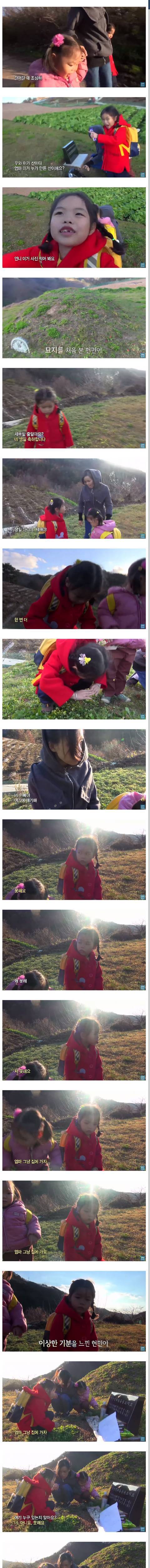 [스압] 아빠가 입원중인 줄 알았던 6살 꼬마가 처음 찾아간 무덤.jpg