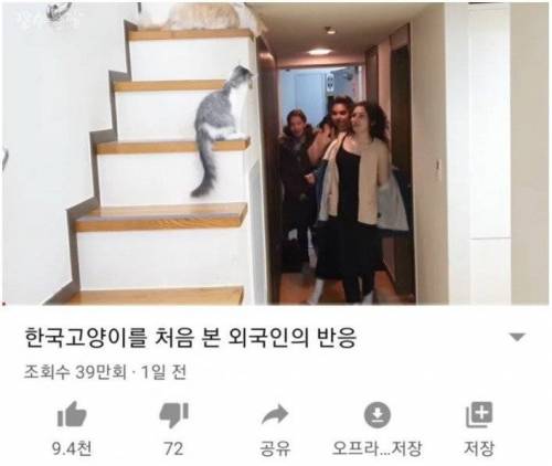 유투브 국뽕 컨텐츠 근황.jpg