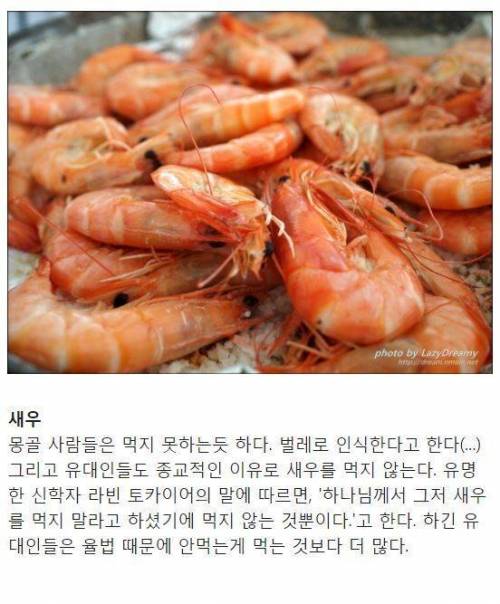 현대에도 새우를 즐겨먹지 않는 나라.jpg