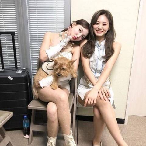 두 번 봐야 이해되는 사진.jpg