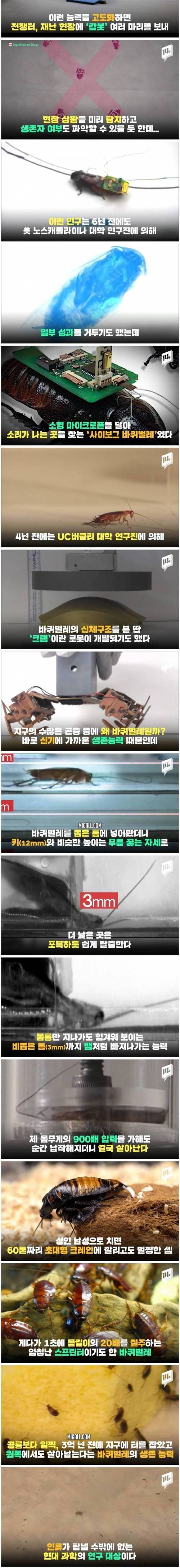 [스압] 과학자들이 탐내는 바퀴벌레의 재능.jpg