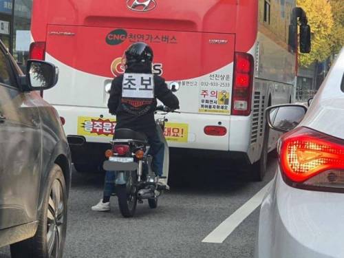 살려주세요.jpg