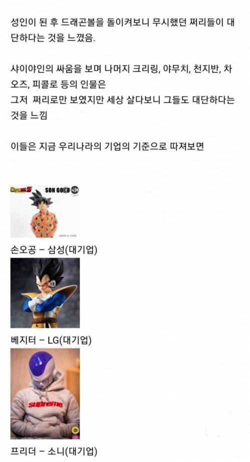 드래곤볼로 인생을 배우다.jpg