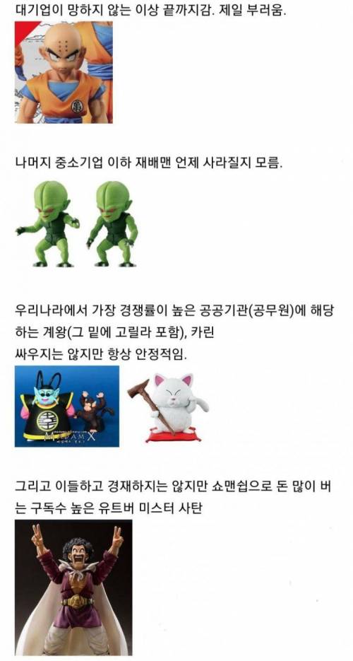 드래곤볼로 인생을 배우다.jpg