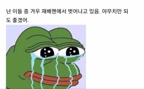 드래곤볼로 인생을 배우다.jpg
