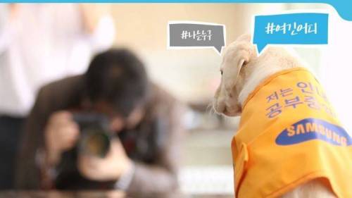 안내견 증명사진 찍는 날