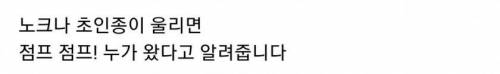 [스압] 청각장애 보조견들이 하는 일.jpgif