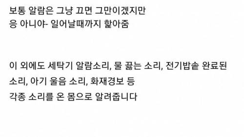 [스압] 청각장애 보조견들이 하는 일.jpgif