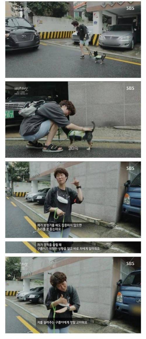 [스압] 청각장애 보조견들이 하는 일.jpgif