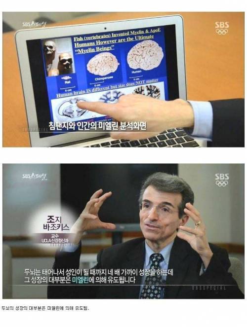 [스압] 두뇌가 좋아지는 방법.jpg