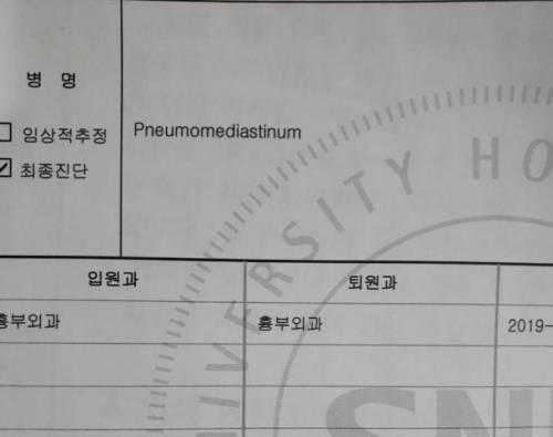 치킨을 뼈까지 씹어먹은 디씨인
