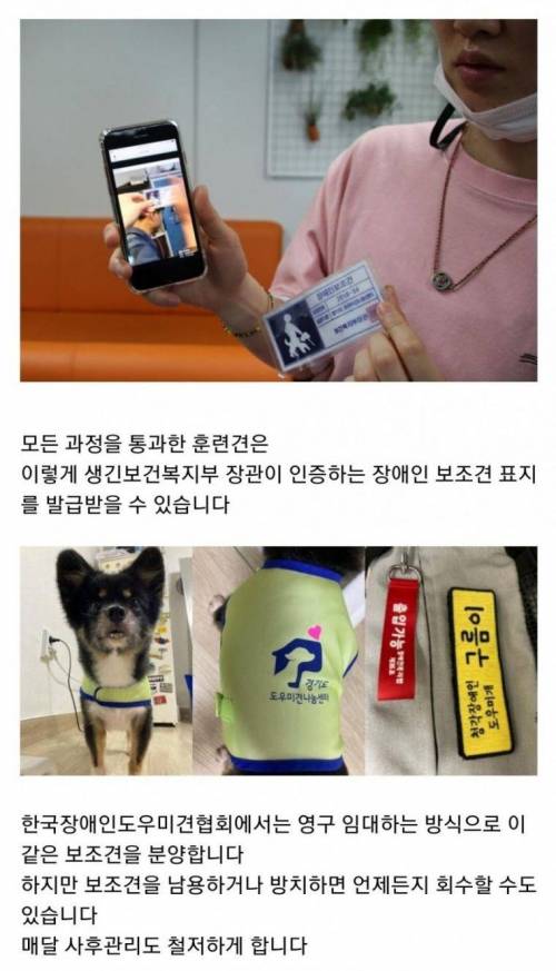 [스압] 청각장애 보조견들이 하는 일.jpgif