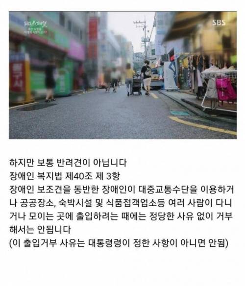 [스압] 청각장애 보조견들이 하는 일.jpgif