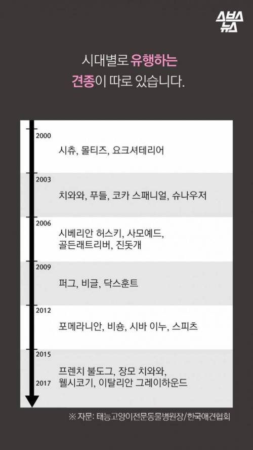 [스압] 특히 한국에서 심한 강아지 유행.jpg