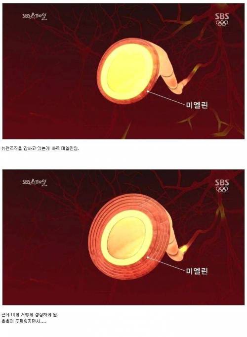 [스압] 두뇌가 좋아지는 방법.jpg