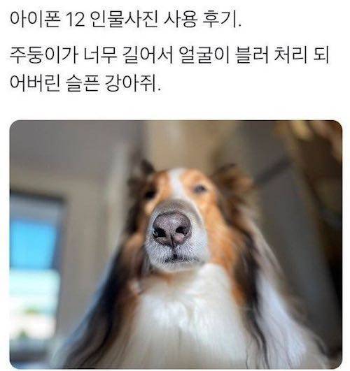 아이폰 12 새로운 기능.jpg