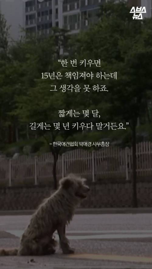 [스압] 특히 한국에서 심한 강아지 유행.jpg