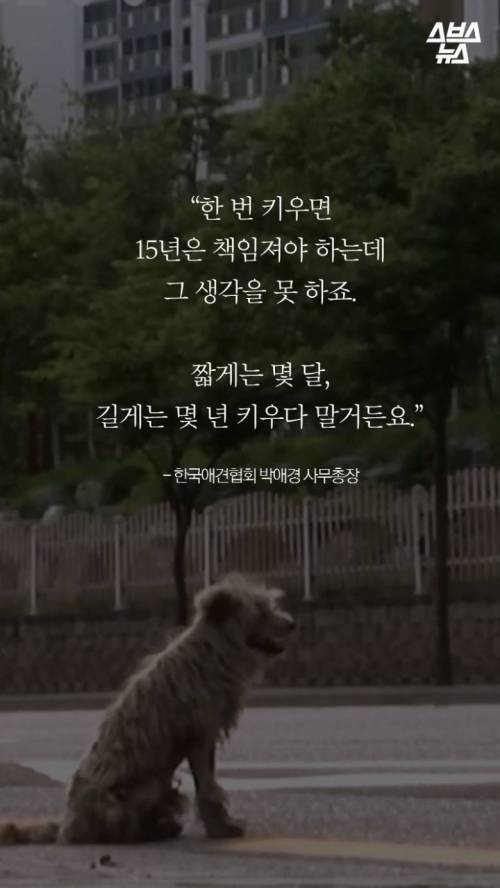 [스압] 특히 한국에서 심한 강아지 유행.jpg