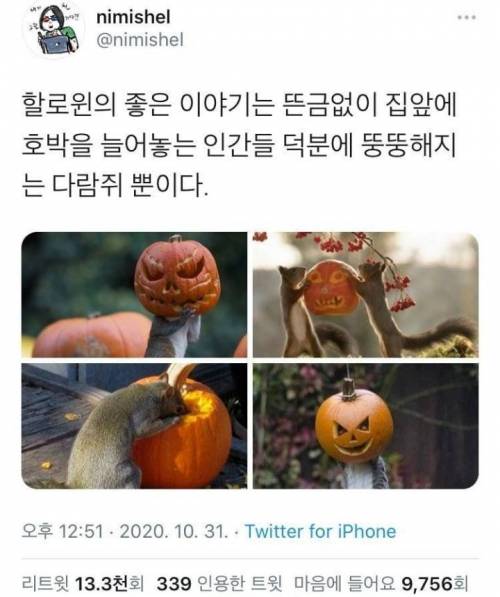 할로윈 최대 수혜자.jpg
