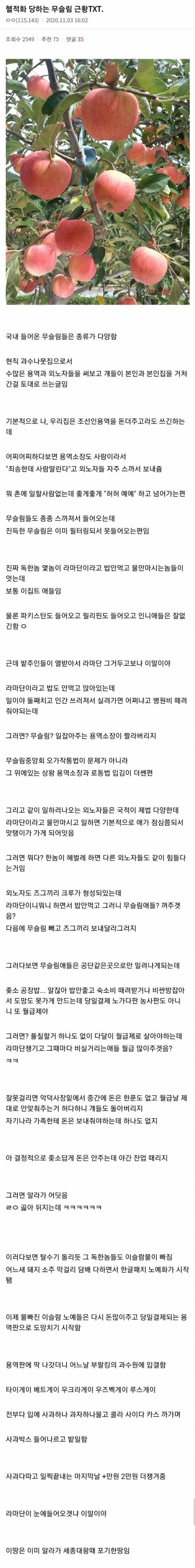 헬적화 당하는 무슬림들 썰.jpg