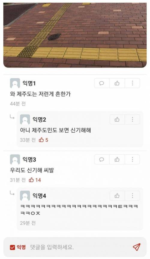 제주도 모 대학 에타 근황.jpg