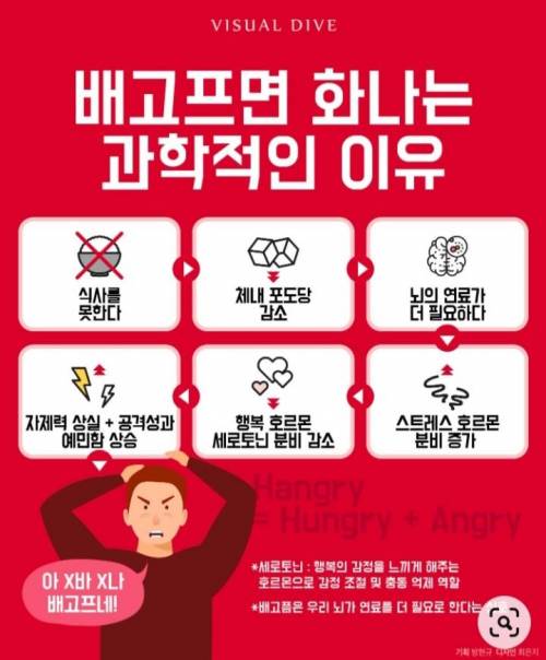 배고프면 화나는 과학적인 이유