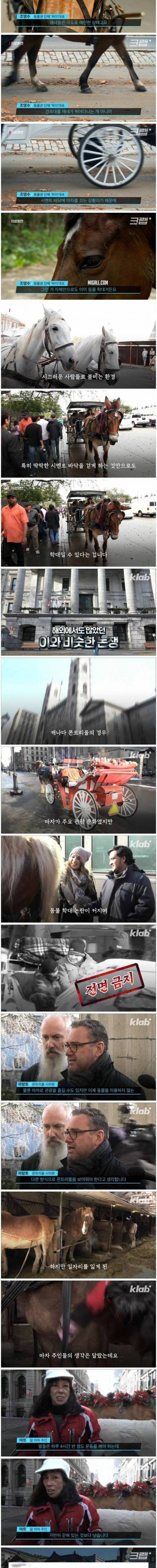 [스압] 전기 마차 논란.jpg