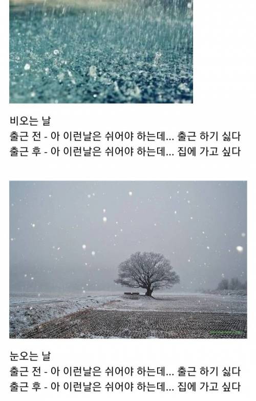 날씨에 따른 출퇴근러의 생각